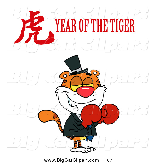 Big Cat Vector Clipart of a Boxer Tiger with a Year of the Tiger Chinese Symbol and Text