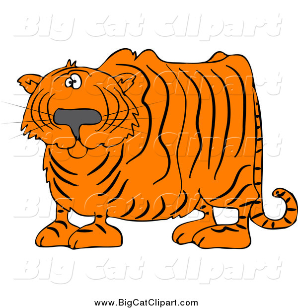 Big Cat Vector Clipart of a Confused Chubby Tiger