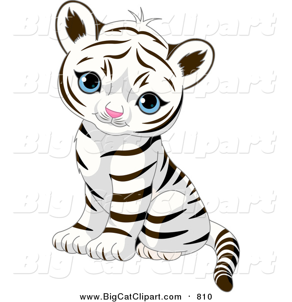Big Cat Vector Clipart of a Cute Baby Tiger Cub Sitting and Looking Outwards