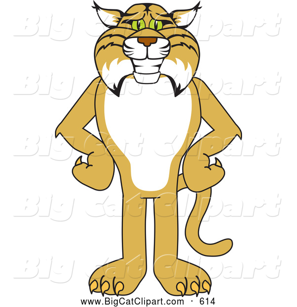 Big Cat Vector Clipart of a Cute Bobcat Character Standing with His Hands on His Hips