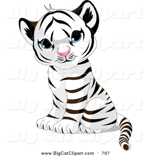 Big Cat Vector Clipart of a Cute Sitting Baby White Tiger Cub with Blue Eyes