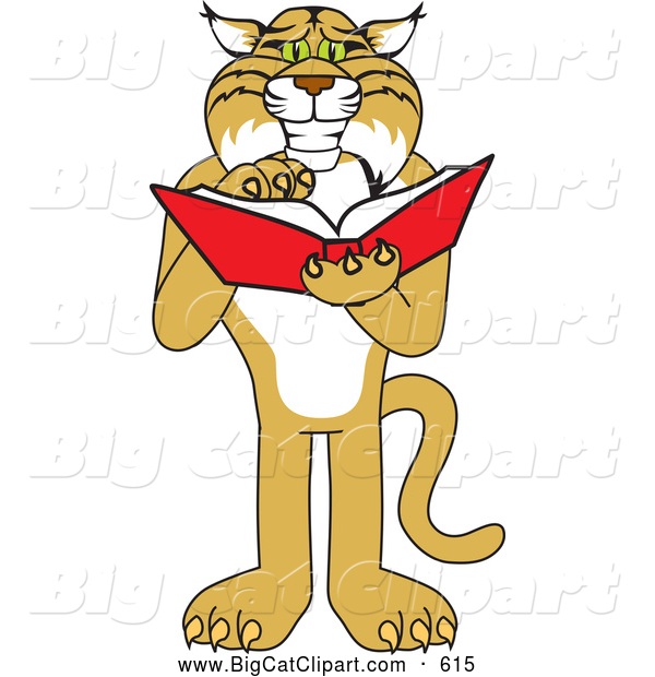 Big Cat Vector Clipart of a Friendly Bobcat Character Reading