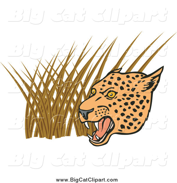 Big Cat Vector Clipart of a Growling Leopard over Grasses