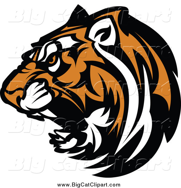 Big Cat Vector Clipart of a Growling Tiger Head