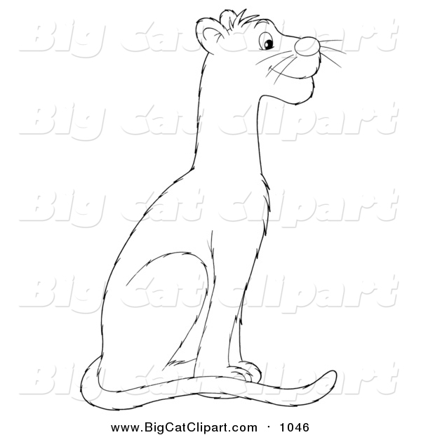 Big Cat Vector Clipart of a Lineart Sitting Panther