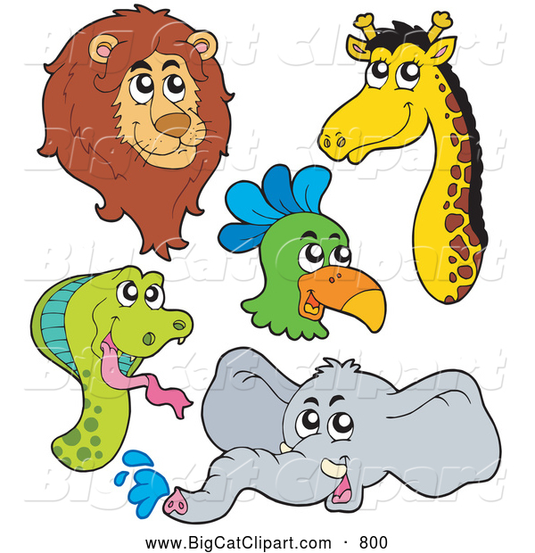 Big Cat Vector Clipart of a Lion, Parrot, Snake, Giraffe and Elephant