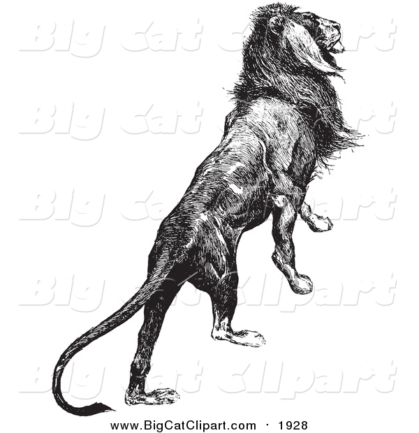 Big Cat Vector Clipart of a Majestic Lion Black and White