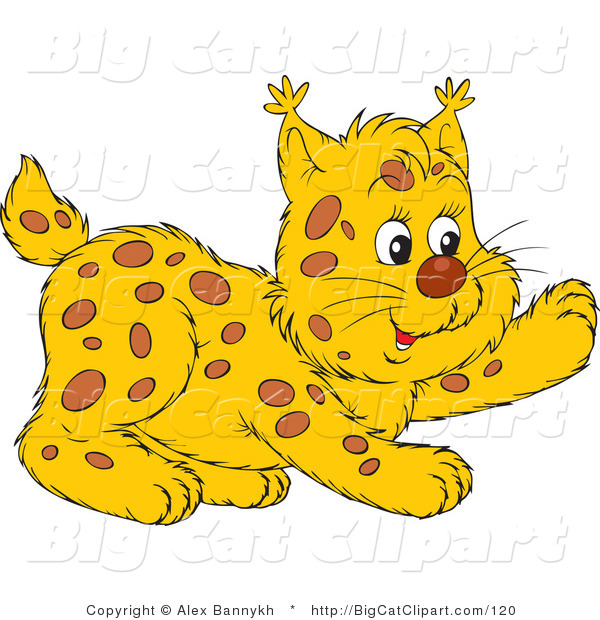 Big Cat Vector Clipart of a Playful Bobcat Lifting One Paw