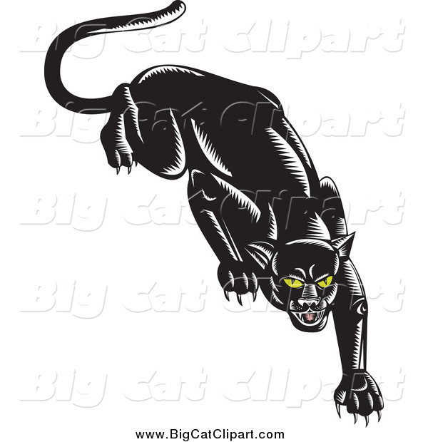 Big Cat Vector Clipart of a Stalking Black Jaguar