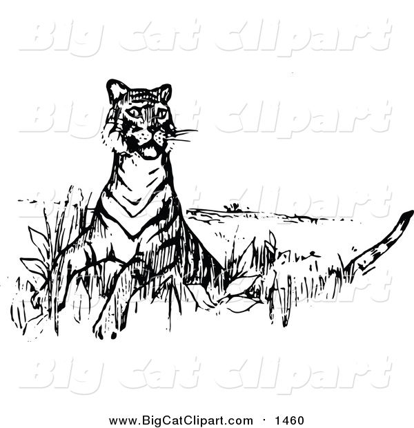 Big Cat Vector Clipart of a Tiger Looking Around - Retro Black Style