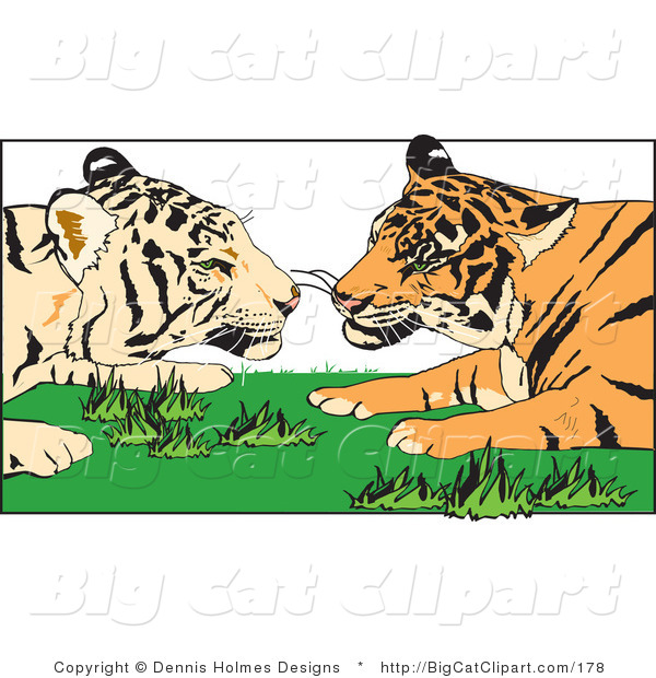 Big Cat Vector Clipart of a Tiger Pair