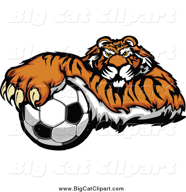 Big Cat Vector Clipart of a Tiger Resting on a Soccer Ball