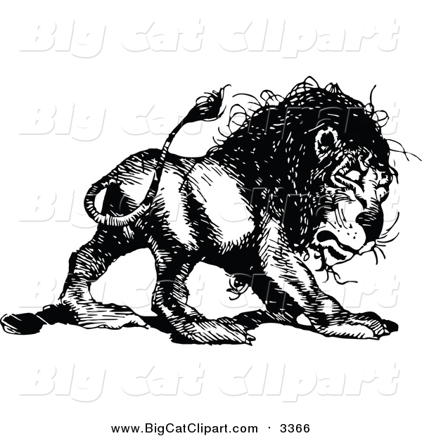 Big Cat Vector Clipart of a Vintage Black and White Lion