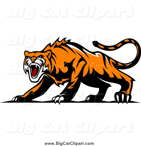 Big Cat Vector Clipart of an Aggressive Tiger