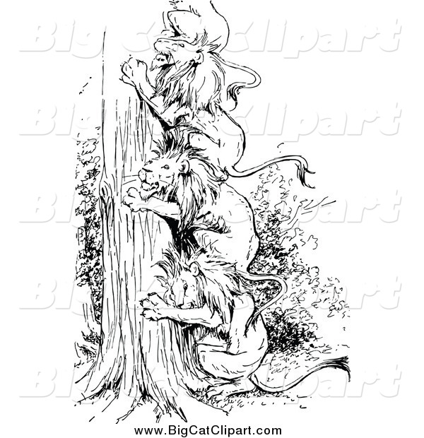 Big Cat Vector Clipart of Black and White Lions Forming a Ladder up a Tree