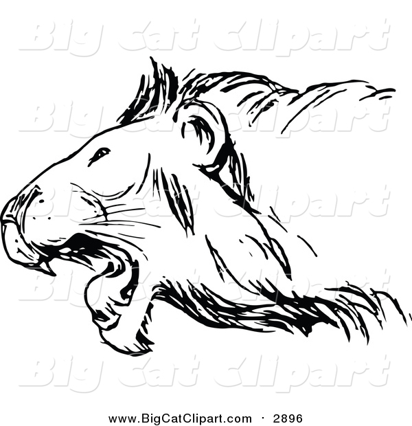 Vector Clipart of a Black and White Roaring Lion