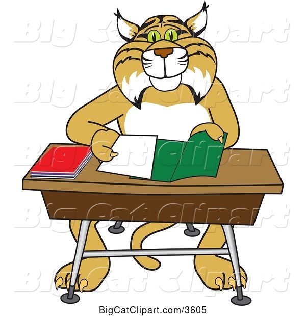 Vector Clipart of a Bobcat School Mascot Organizing and Doing Homework