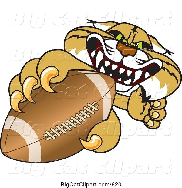 Vector Clipart of a Cartoon Bobcat Character Grabbing a Football