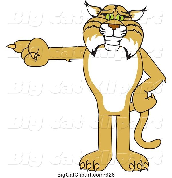 Vector Clipart of a Cartoon Bobcat Character Pointing Left