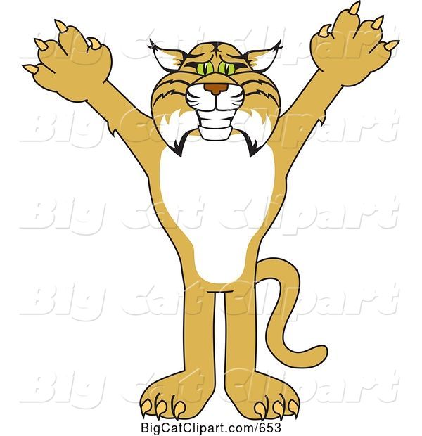 Vector Clipart of a Cartoon Bobcat Character Reaching out