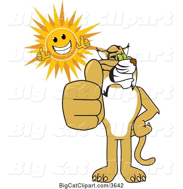 Vector Clipart of a Cartoon Bobcat School Mascot and Sun Holding Thumbs Up, Symbolizing Excellence