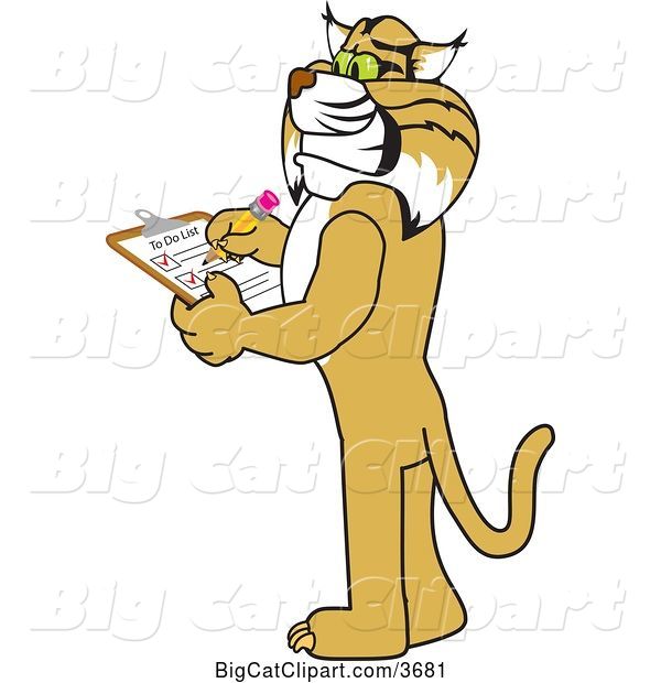 Vector Clipart of a Cartoon Bobcat School Mascot Completing a to Do List, Symbolizing Dependability