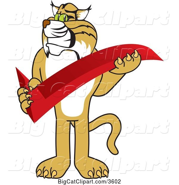 Vector Clipart of a Cartoon Bobcat School Mascot Holding a Check Mark, Symbolizing Acceptance