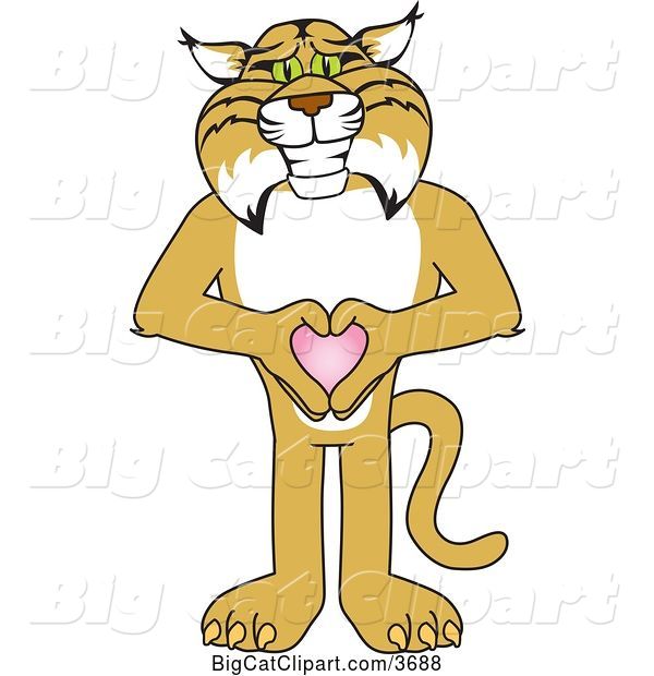 Vector Clipart of a Cartoon Bobcat School Mascot Holding a Heart, Symbolizing Compassion