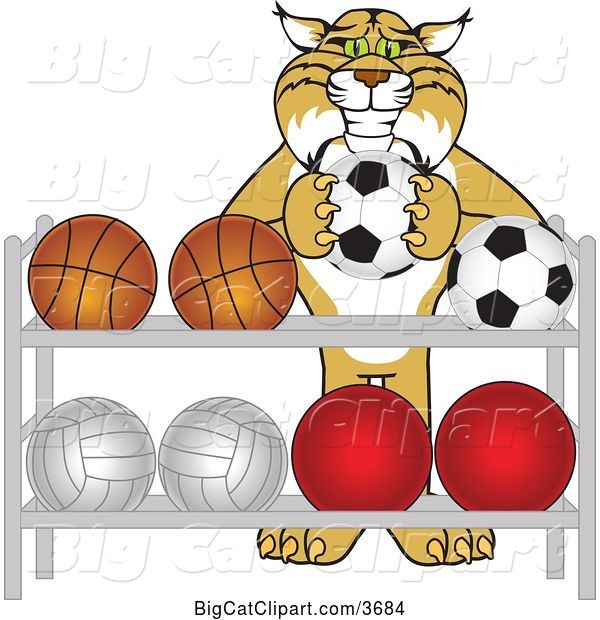 Vector Clipart of a Cartoon Bobcat School Mascot Putting a Soccer Ball Back on a Rack, Symbolizing Respect