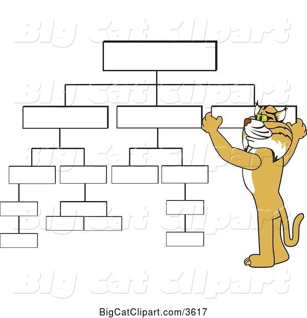 Vector Clipart of a Cartoon Bobcat School Mascot Setting up a Chart, Symbolizing Organization
