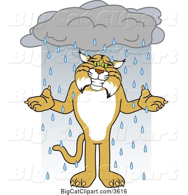Vector Clipart of a Cartoon Bobcat School Mascot Shrugging in the Rain, Symbolizing Acceptance