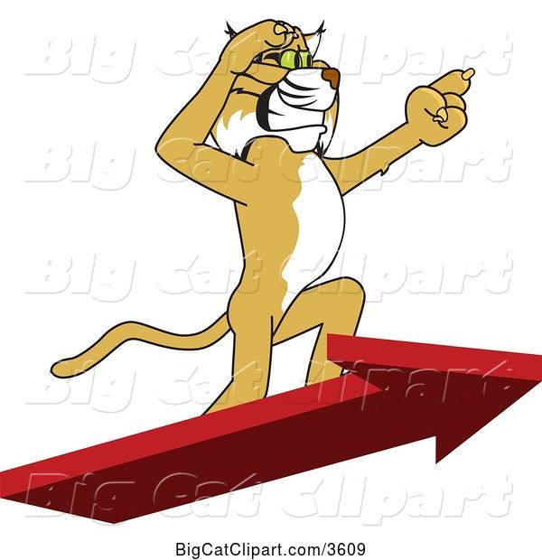 Vector Clipart of a Cartoon Bobcat School Mascot Standing on an Arrow and Pointing, Symbolizing Leadership