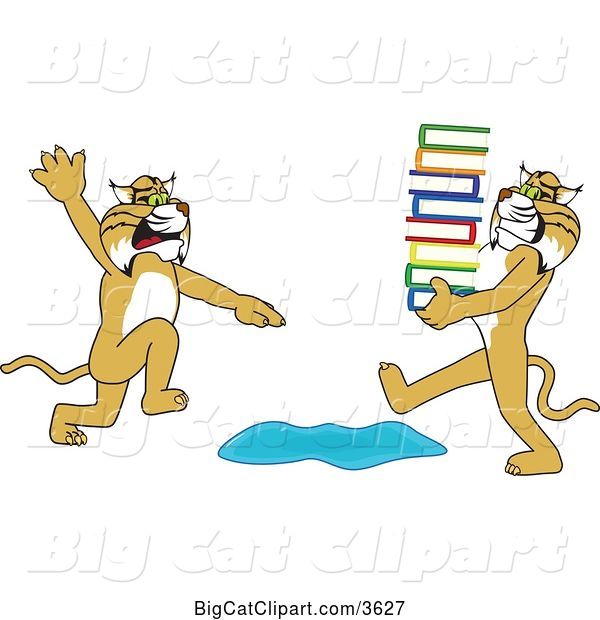 Vector Clipart of a Cartoon Bobcat School Mascot Warning Another That Is Carrying a Stack of Books About a Puddle, Symbolizing Being Proactive
