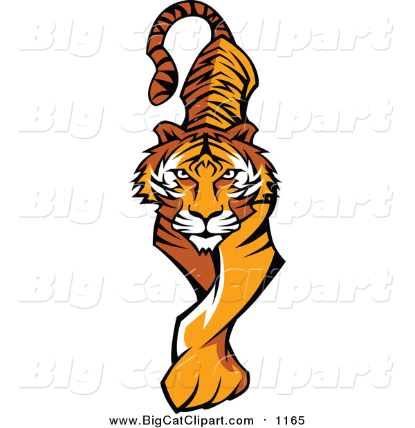 Vector Clipart of a Prowling Tiger