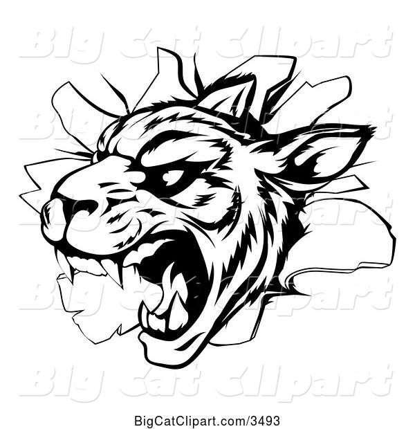 Vector Clipart of a Vicious Tiger Mascot Breaking Through a Wall - Black and White Version