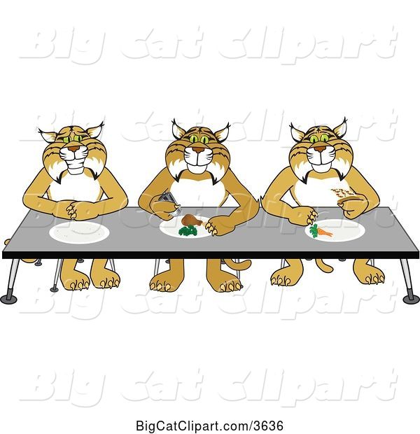 Vector Clipart of Cartoon Bobcat School Mascots Eating Together, Symbolizing Respect