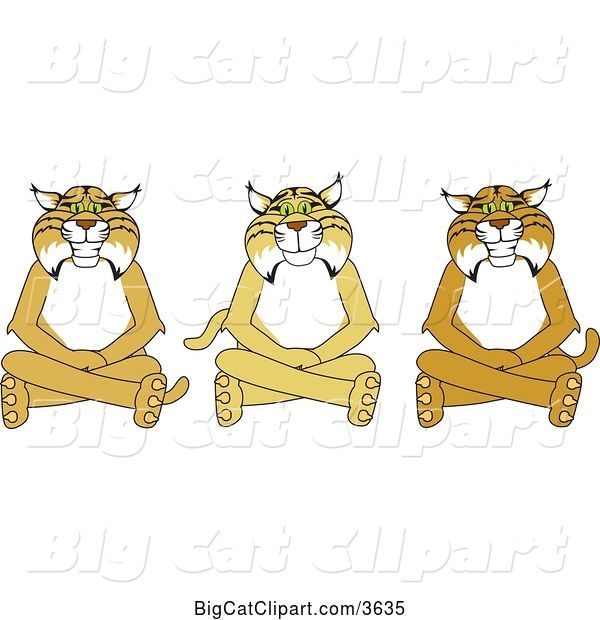 Vector Clipart of Cartoon Bobcat School Mascots Sitting on the Floor, Symbolizing Respect