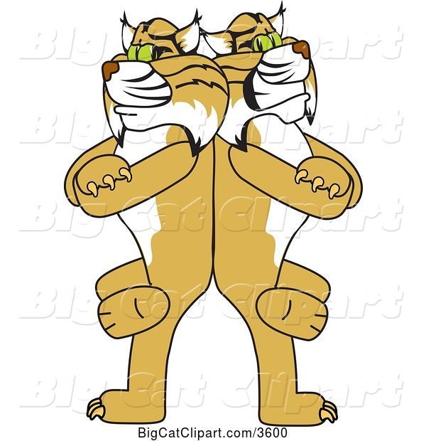 Vector Clipart of Cartoon Bobcat School Mascots Standing Back to Back and Leaning on Each Other, Symbolizing Loyalty