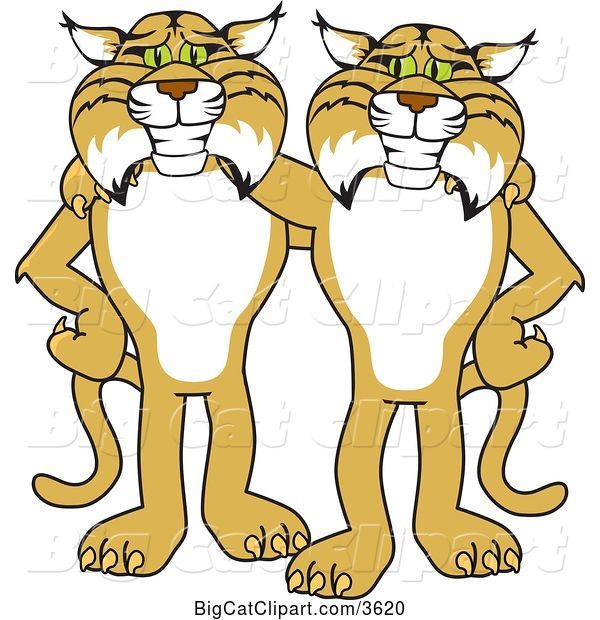 Vector Clipart of Cartoon Bobcat School Mascots Standing with the Arms over Each Other's Shoulders, Symbolizing Loyalty