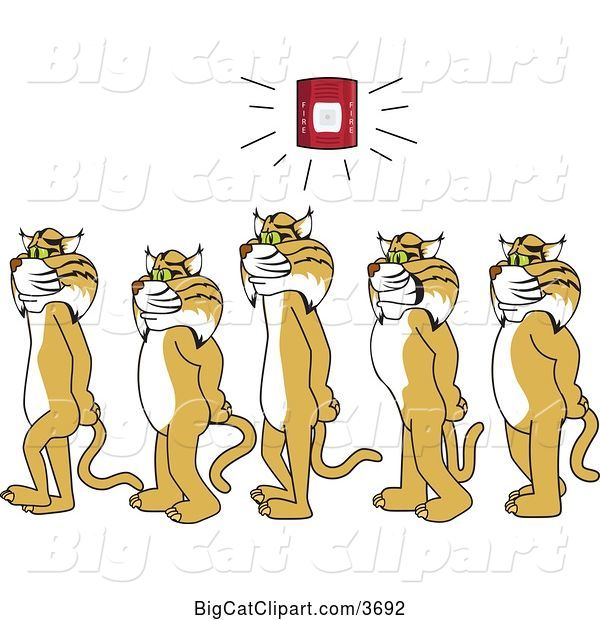 Vector Clipart of Cartoon Bobcat School Mascots Walking in Line As a Fire Alarm Goes Off, Symbolizing Safety