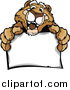 Big Cat Cartoon Vector Clipart of a Friendly Couger Holding a Sign by Chromaco