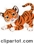 Big Cat Cartoon Vector Clipart of a Frisky Cute Tiger Cub in a Playful Stance by Pushkin
