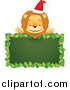 Big Cat Cartoon Vector Clipart of a Happy Christmas Lion over a Blank Holly Sign by Qiun