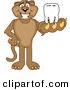 Big Cat Cartoon Vector Clipart of a Happy Cougar Mascot Character Holding a Tooth by Mascot Junction