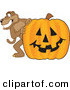 Big Cat Cartoon Vector Clipart of a Happy Cougar Mascot Character with a Pumpkin by Toons4Biz