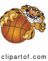 Big Cat Cartoon Vector Clipart of a Mean Tiger Character School Mascot Grabbing a Basketball by Toons4Biz