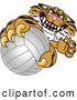 Big Cat Cartoon Vector Clipart of a Mean Tiger Character School Mascot Grabbing a Volleyball by Toons4Biz