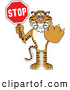 Big Cat Cartoon Vector Clipart of a Smiling Tiger Character School Mascot Holding a Stop Sign by Toons4Biz