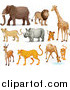 Big Cat Cartoon Vector Clipart of Lions, and African Zoo Animals by