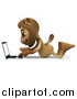 Big Cat Clipart of a 3d Male Lion Using a Laptop on the Floor by